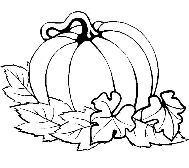 Druckbarer Herbstkürbis