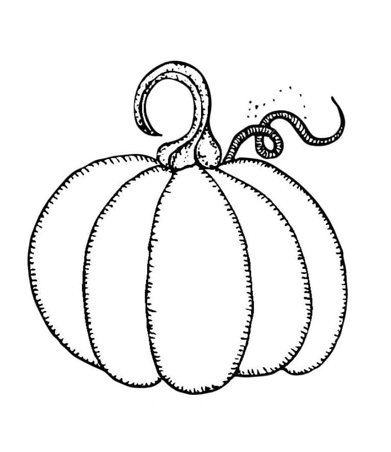 Kostenloser Druckbarer Kürbis