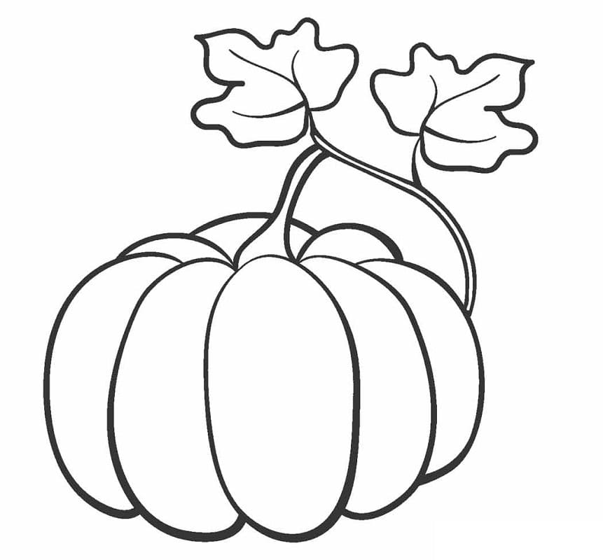 Kürbis zum Ausdrucken