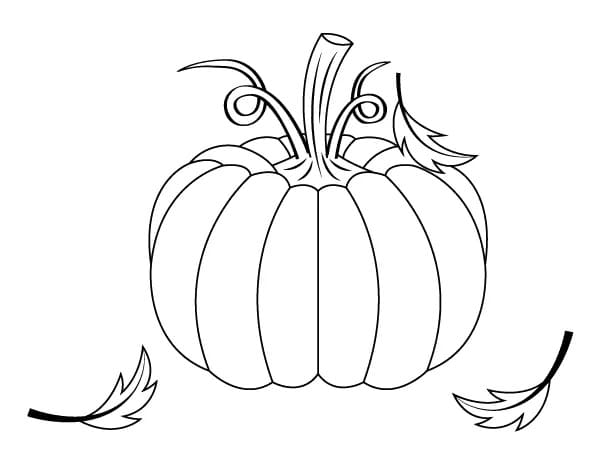 Kürbisse und Weizengarben