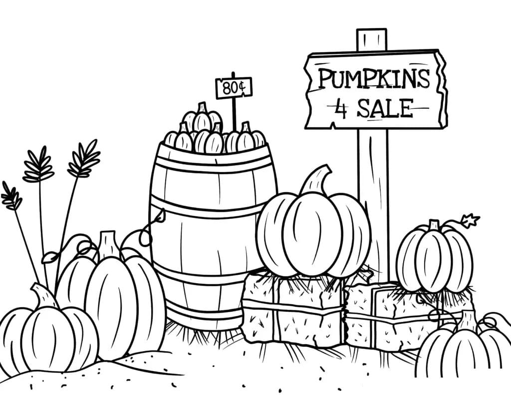 Kürbisse zum Verkauf