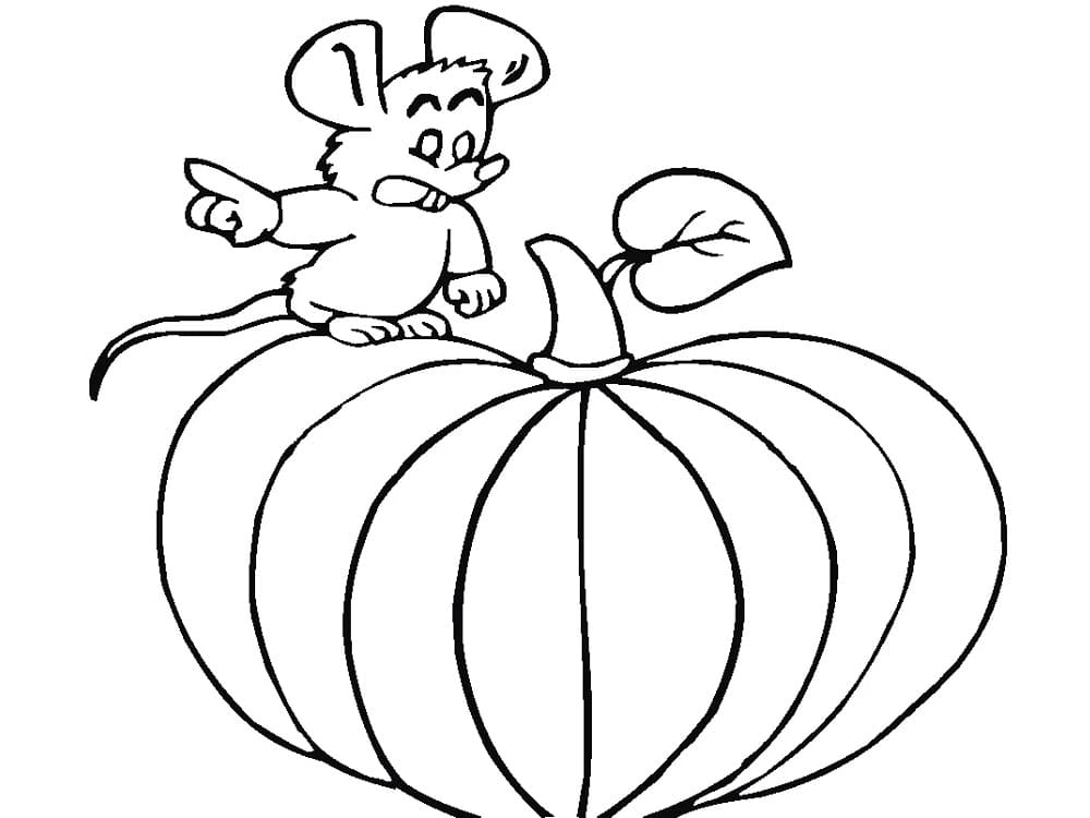 Maus auf Einem Kürbis