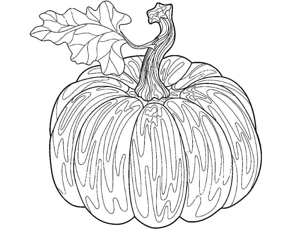 Realistischer Kürbis