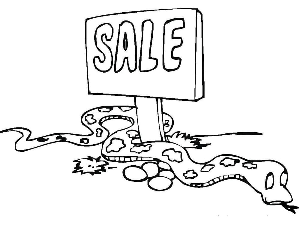 Schlange zu verkaufen