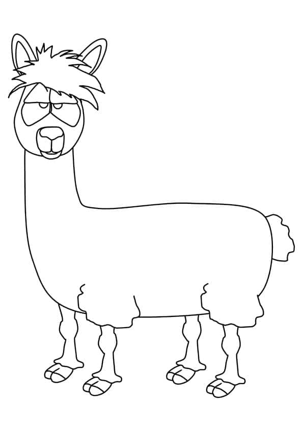 Dummes Lama