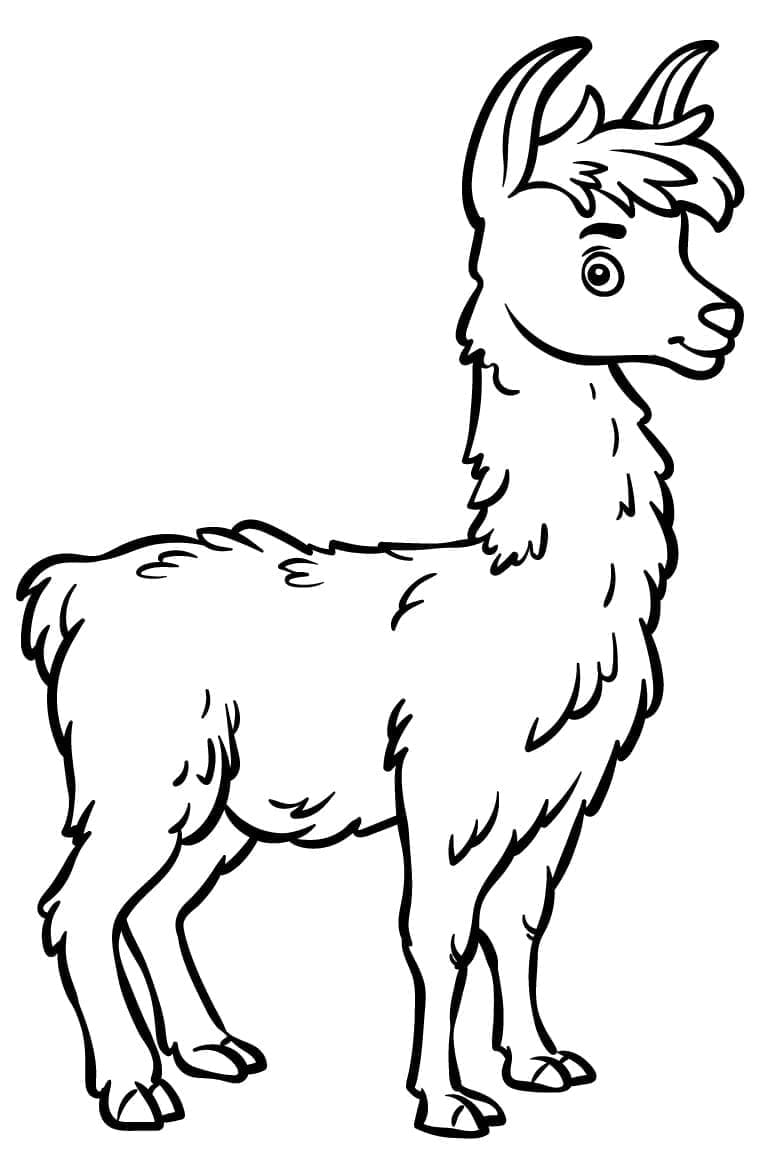 Ein Cartoon-Lama