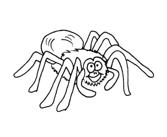 Eine Cartoon-Spinne