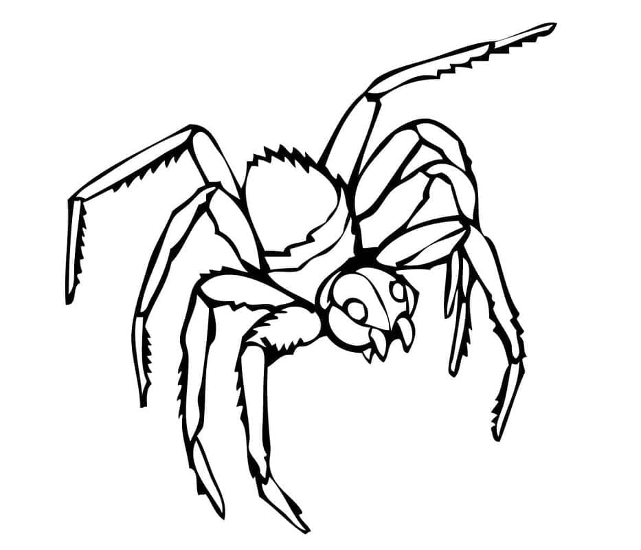 Gruselige Spinne 2