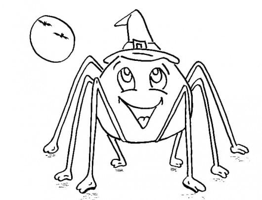 Halloween-Spinne