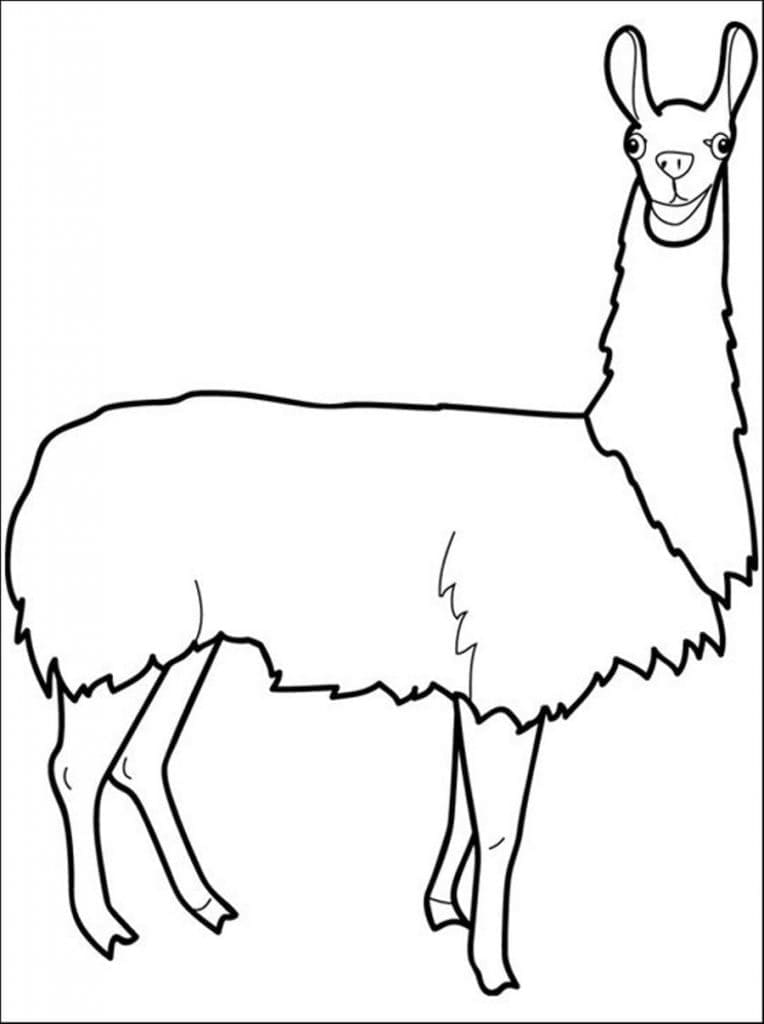 Kostenloses Lama