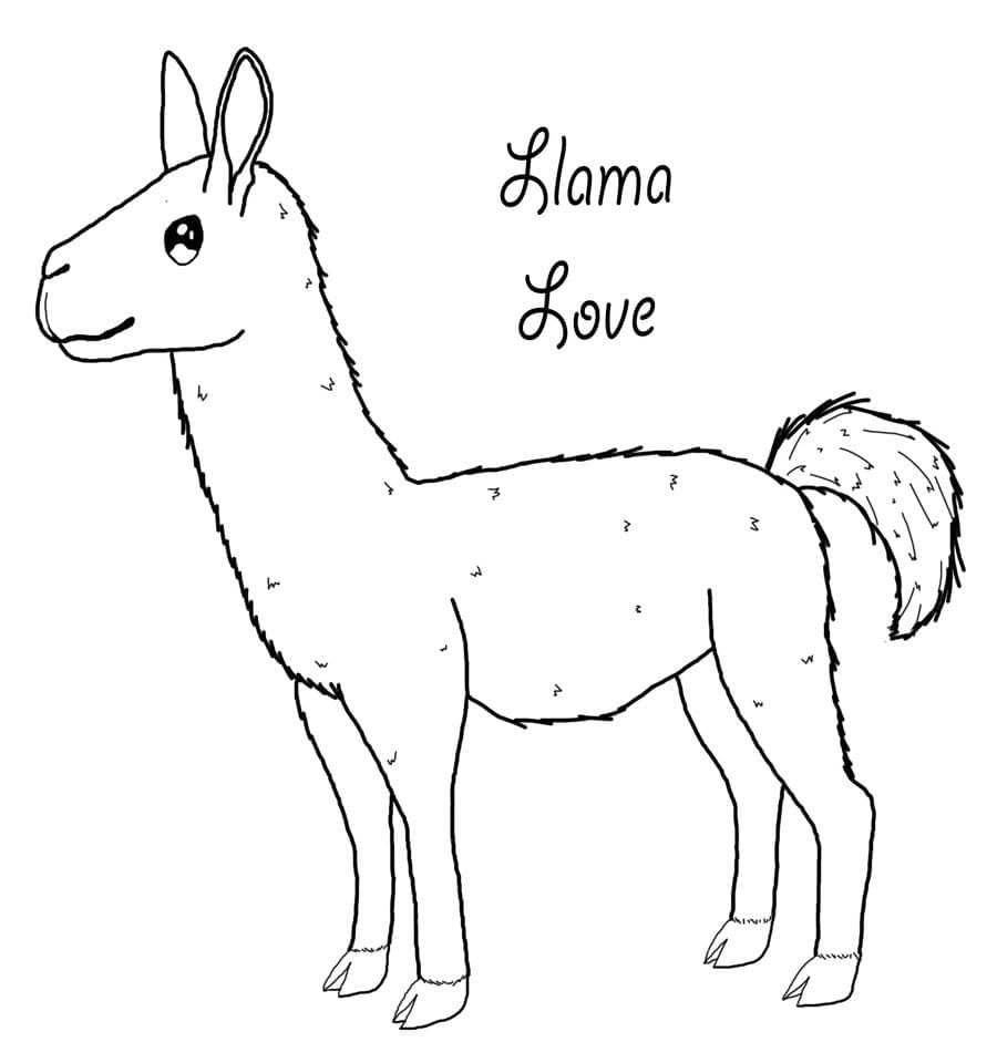 Lama-Liebe