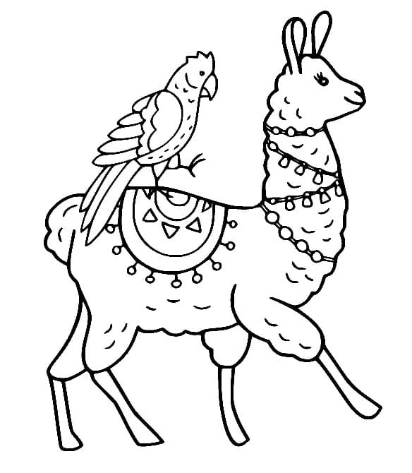Lama und Papagei