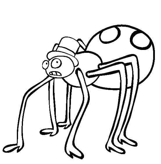 Spinne, Tragen, A, Hat