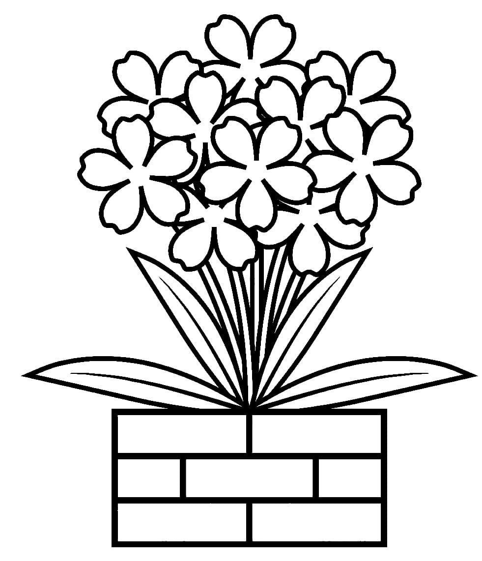 Hübscher Blumentopf