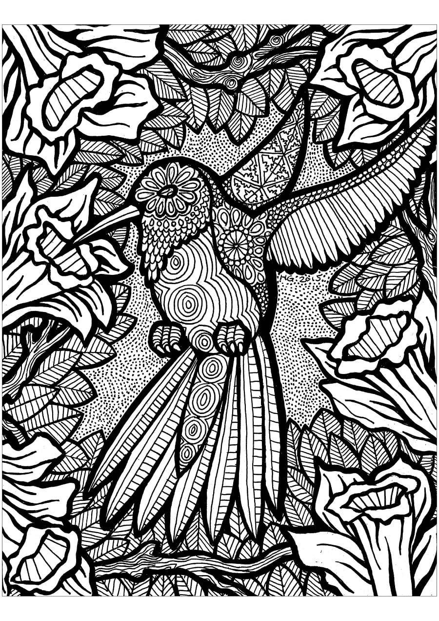 Kolibri Zentangle
