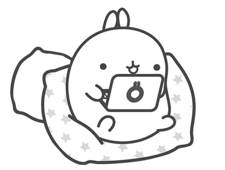 Molang benutzt Laptops