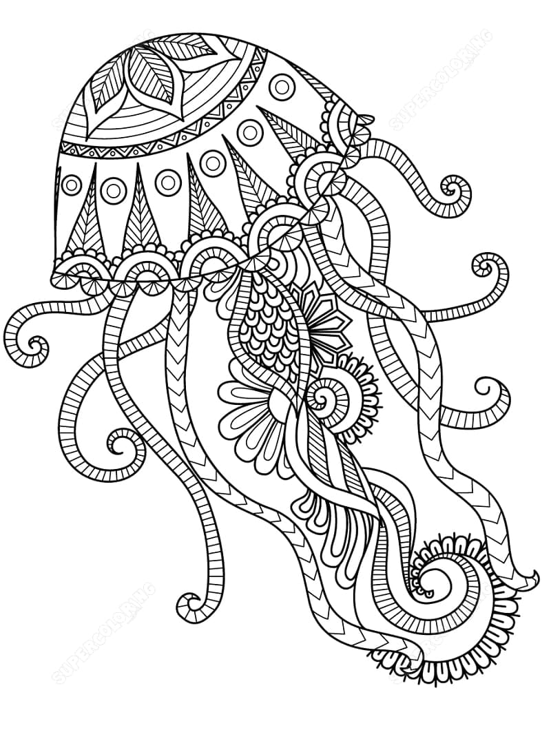 Quallen Zentangle