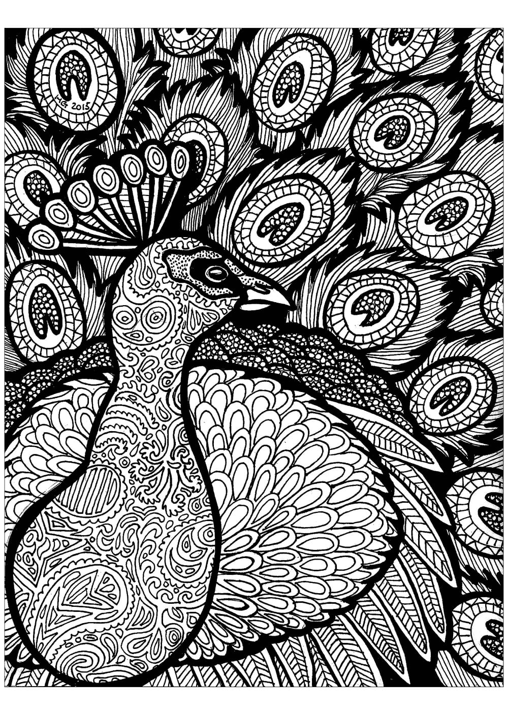 Zentangle Pfau