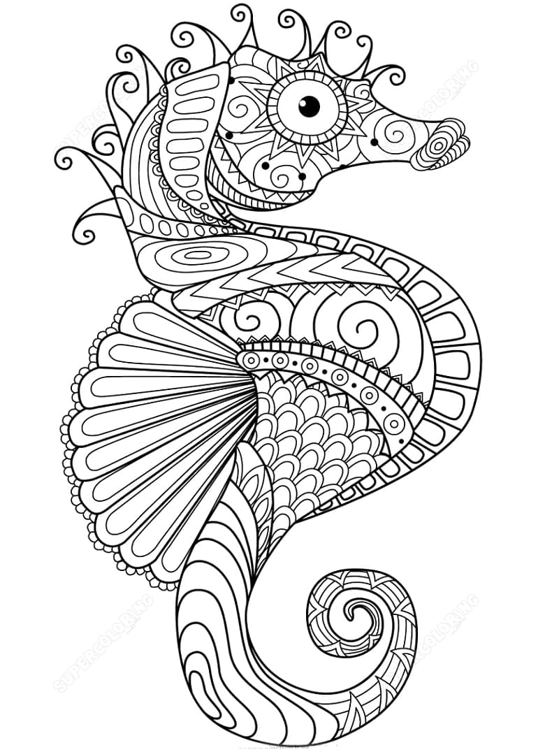 Zentangle Seepferdchen