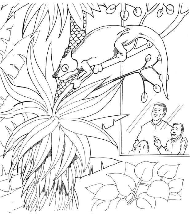 Chamäleon in einem Zoo