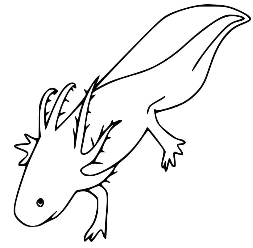 Axolotl kostenlos für Kinder