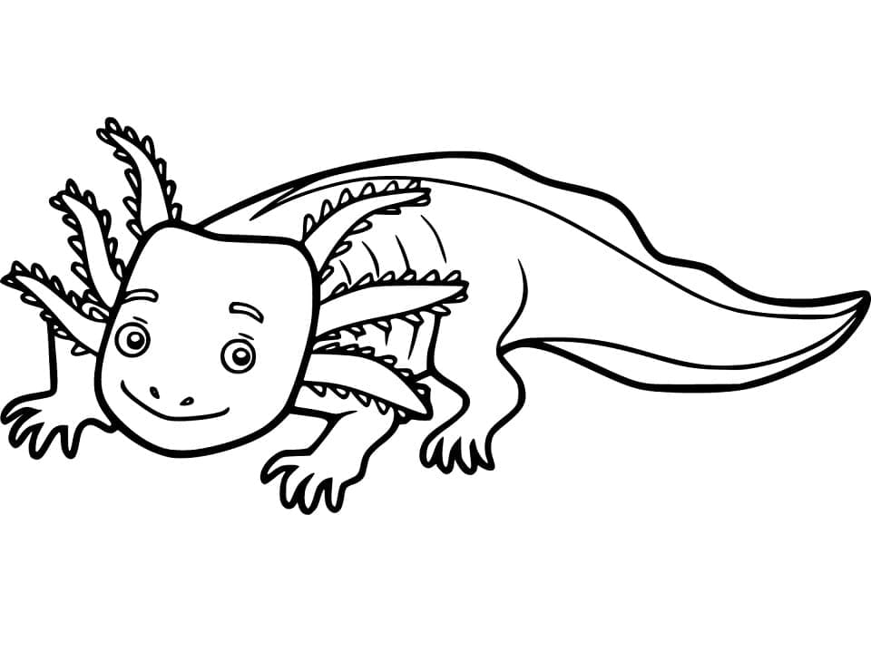 Axolotl kostenlos zum Ausdrucken