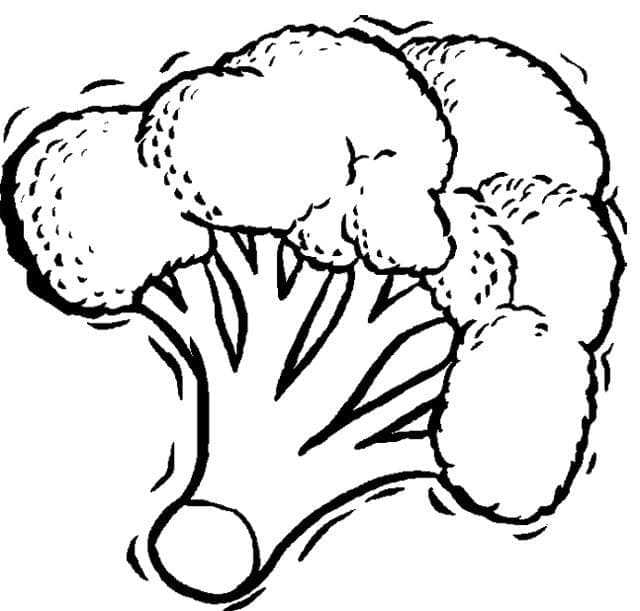 Brokkoli drucken