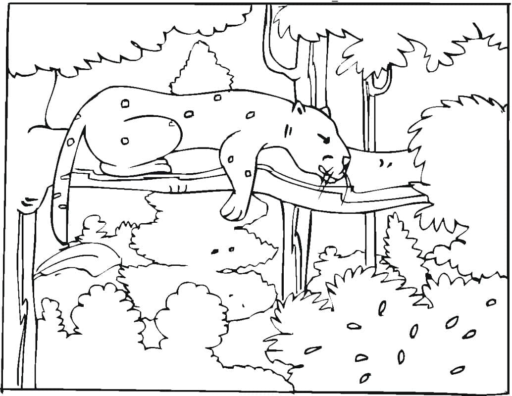 Ein Gepard in einem Baum