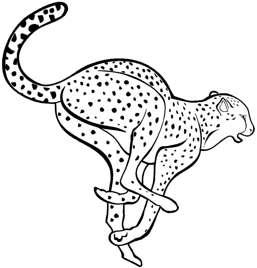 Ein laufender Gepard