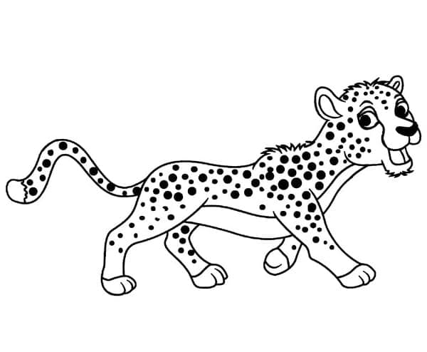 Glücklicher Gepard