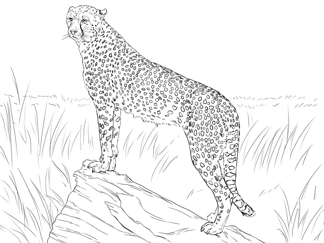Realistischer Gepard