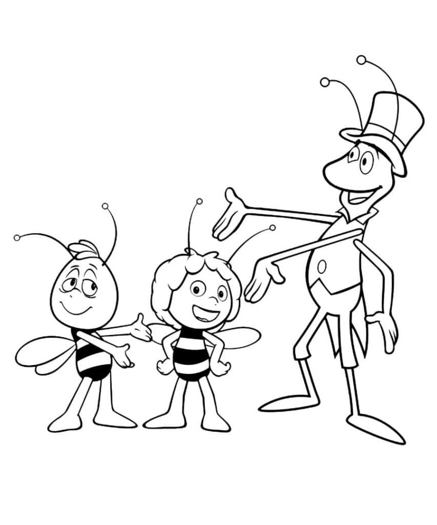 Willi, Maja und Flip