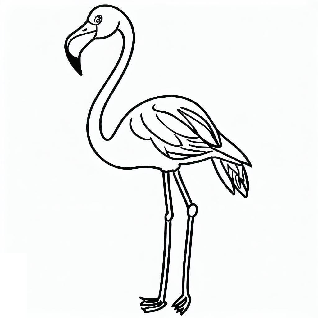 Anmutiger Flamingo