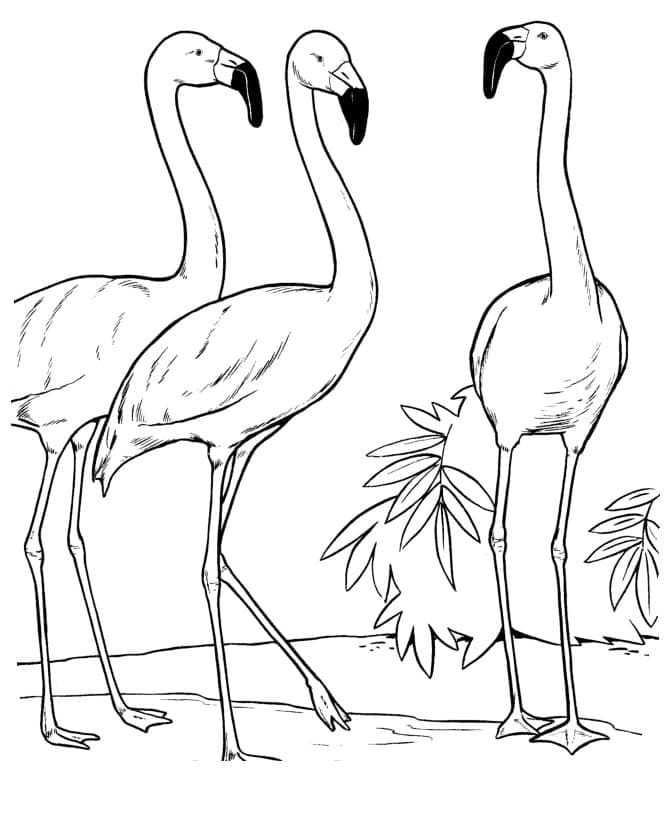 Printable FlamingosDruckbare Flamingos