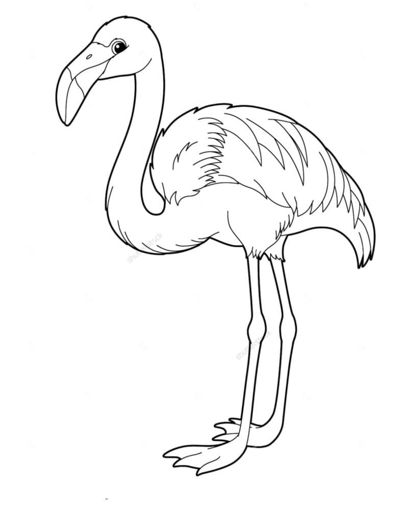 Drucken Sie Flamingo