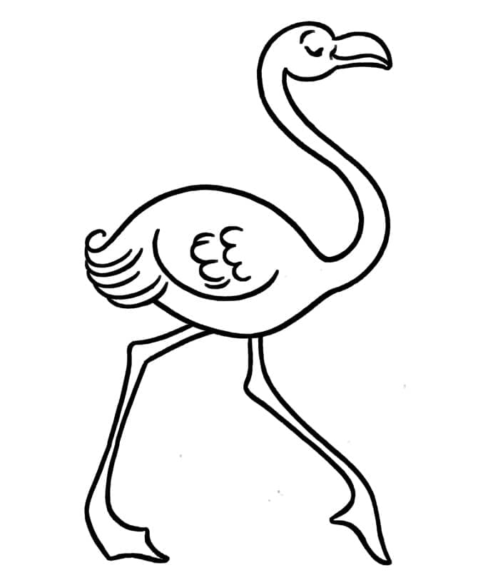 Eleganter Flamingo
