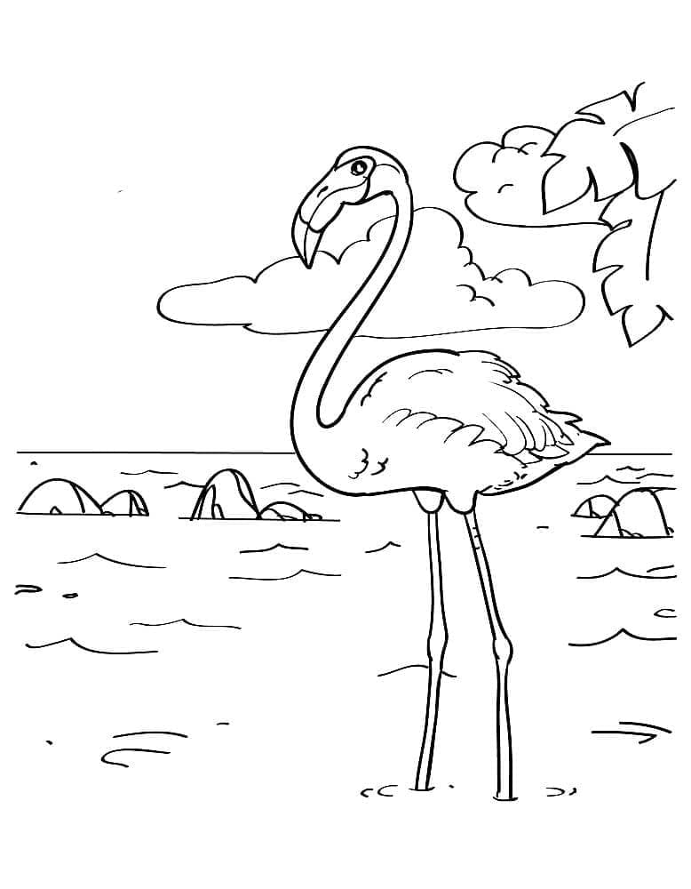 Flamingo auf dem See