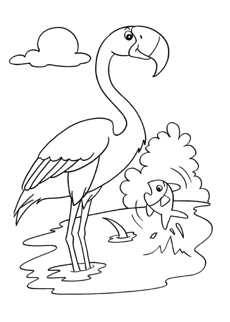 Flamingo und ein Fisch