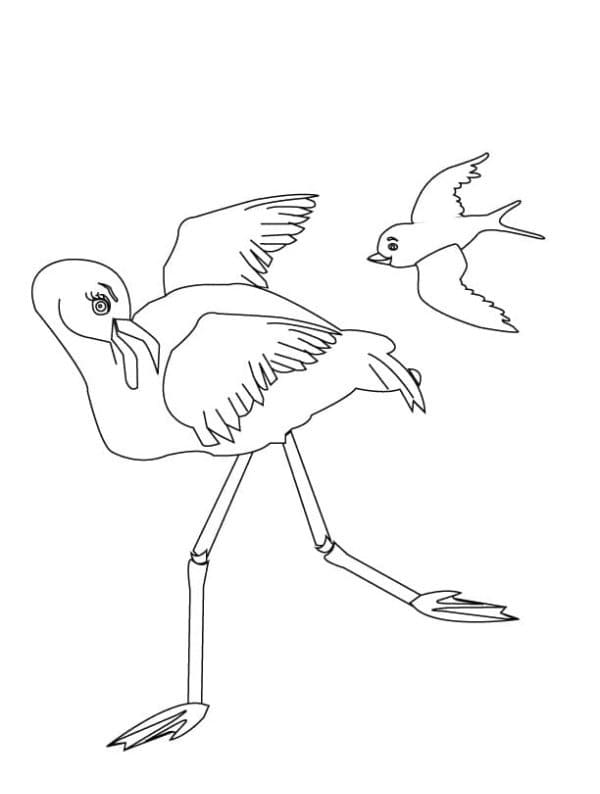 Flamingo und Vogel