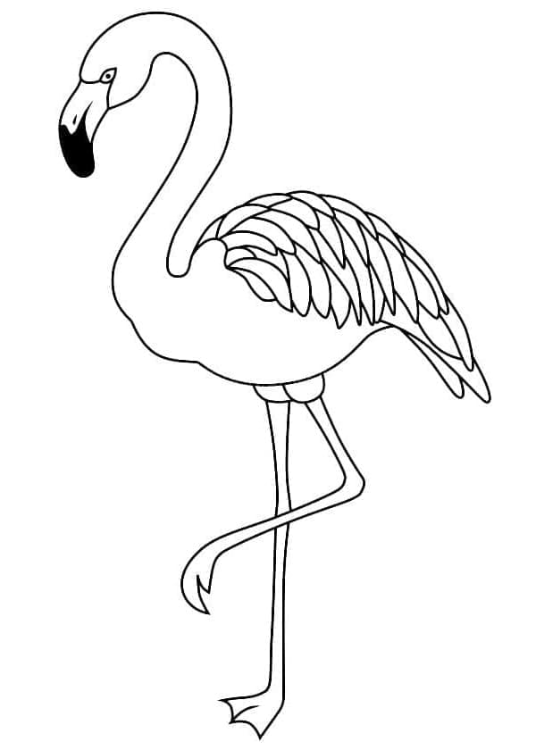 Flamingo zum Ausdrucken