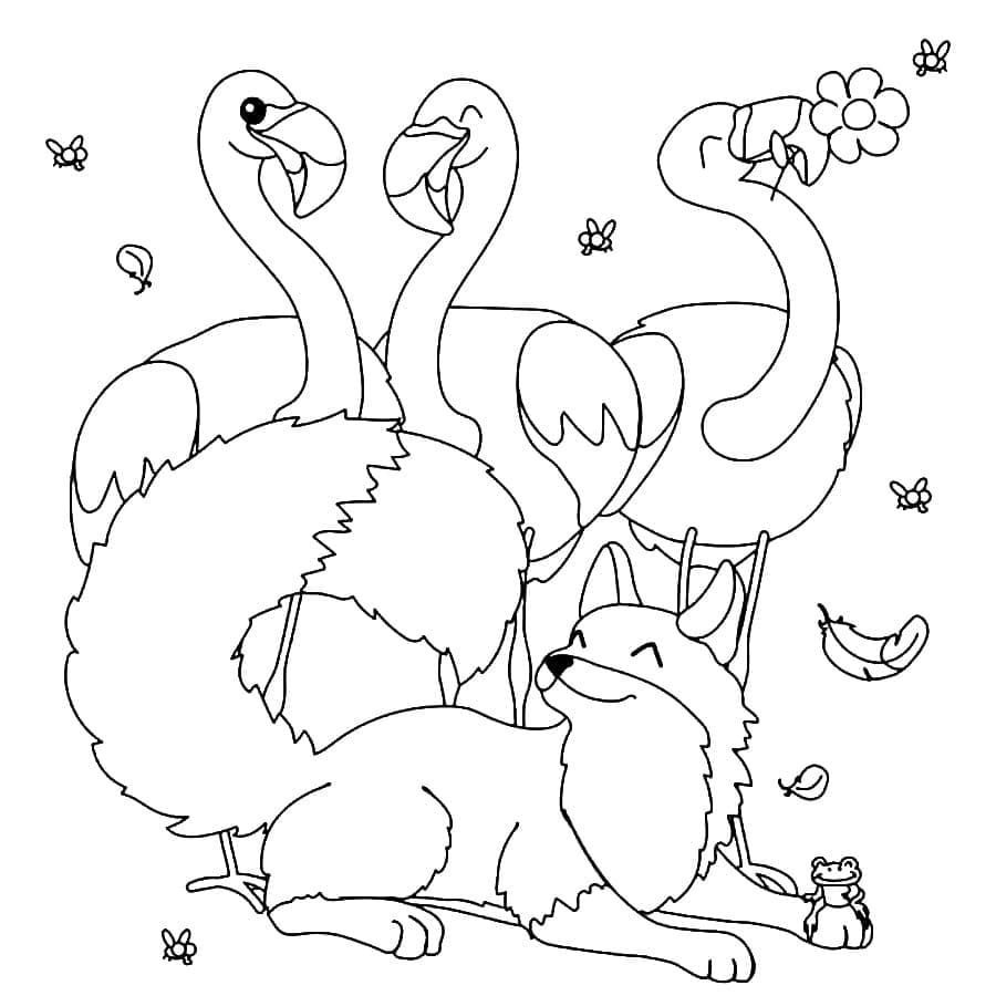 Flamingos und Fuchs