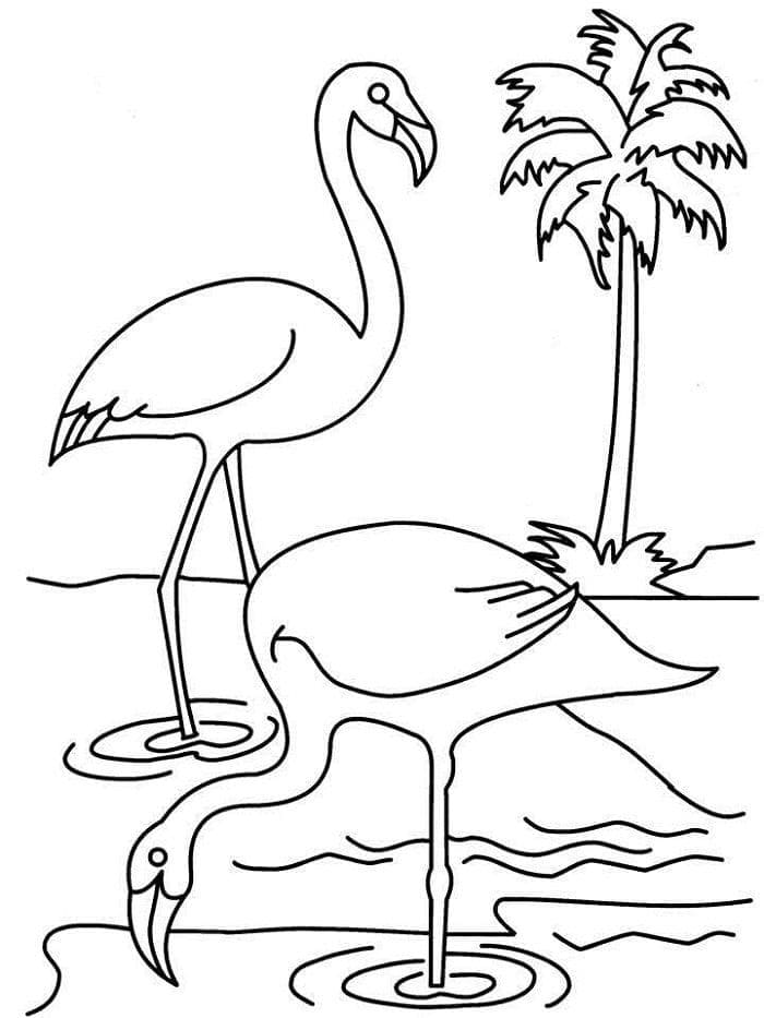 Kostenlose Flamingos zum Ausdrucken