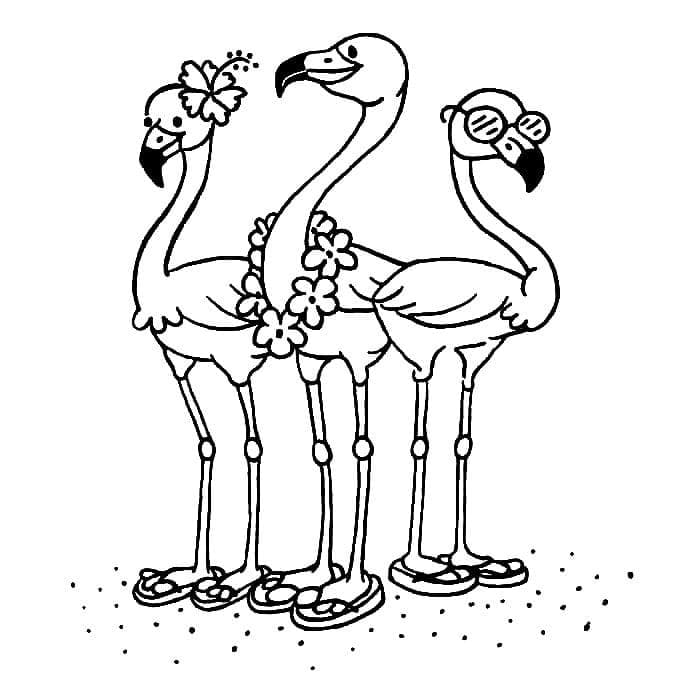Sommerflamingos