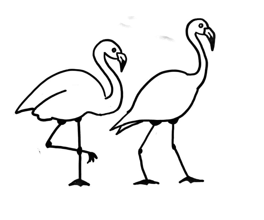 Zwei einfache Flamingos