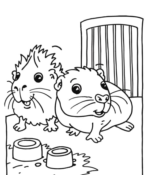 Cartoon-Meerschweinchen