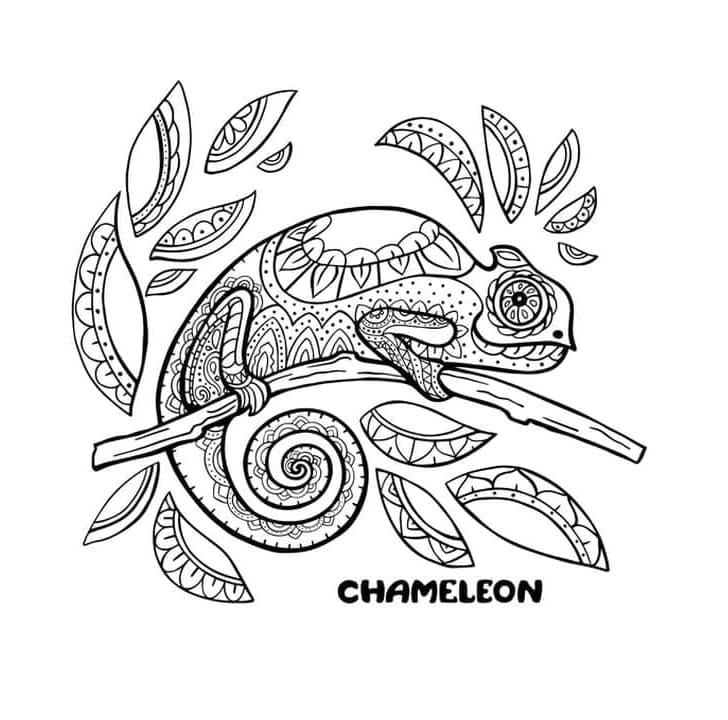 Chamäleon Antistress