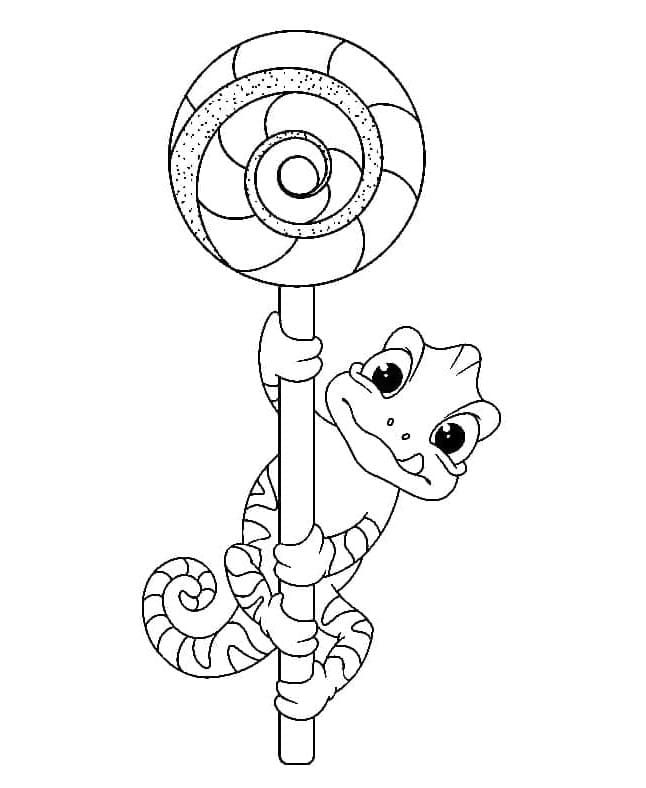 Chamäleon mit Lolli