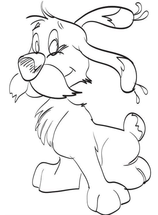 Der weiße Terrier ist ein Begleiter der Galle