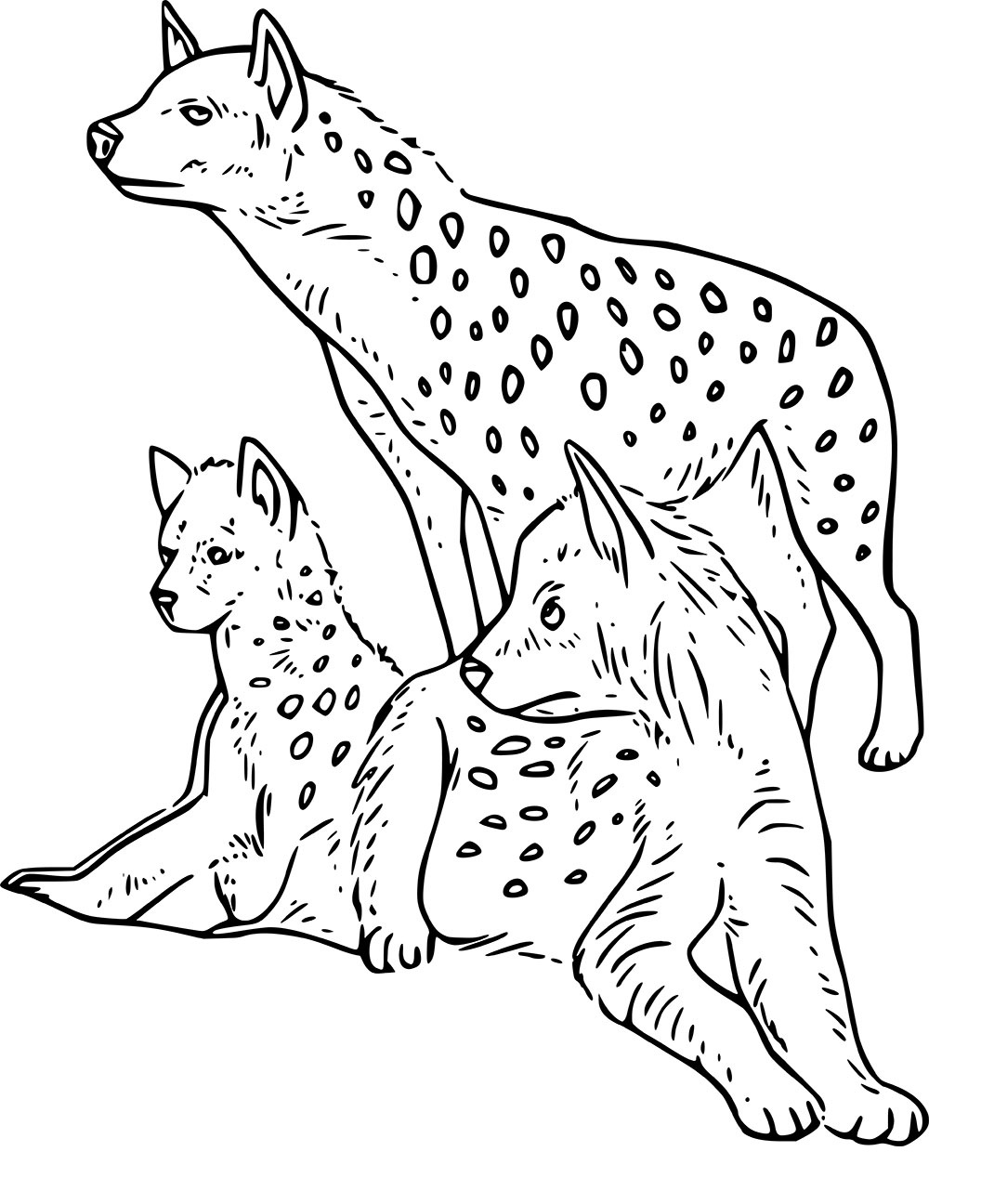 Dreifleckige Hyänen