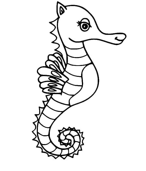 Ein schönes Seepferdchen